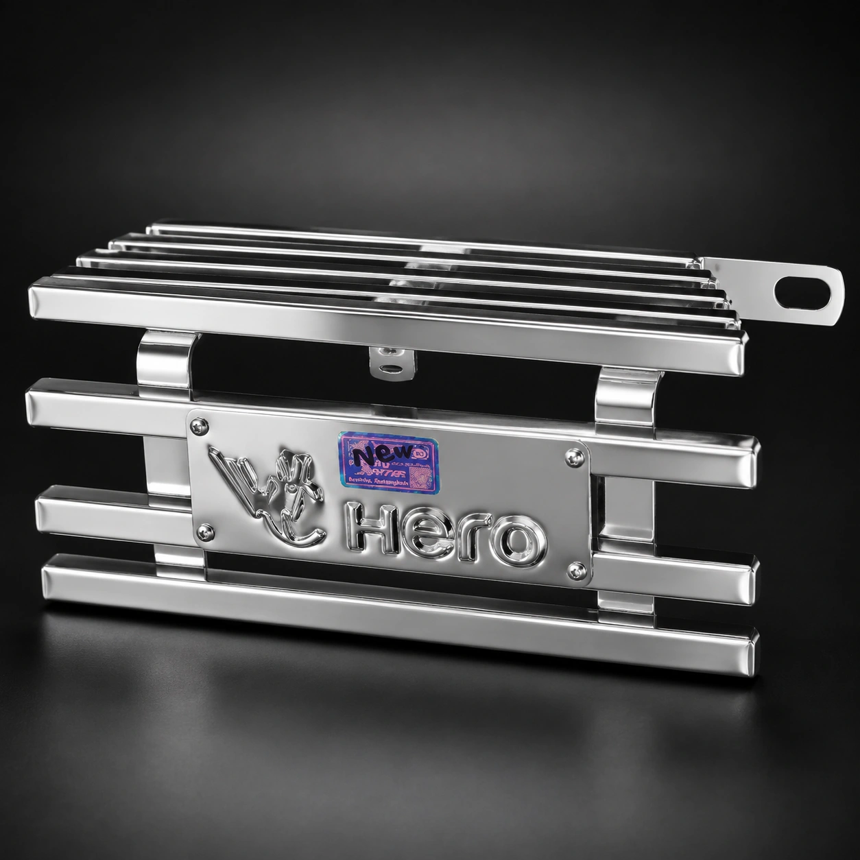 Ignitor Xtec-125 Hero সাইলেন্সার Box খাঁচা SS