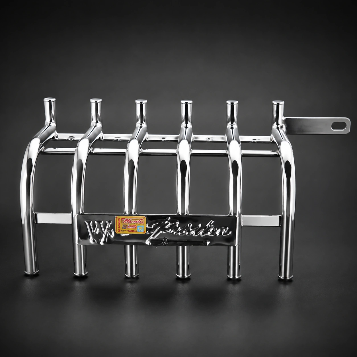 RTR-150-160-সাইলেন্সার-খাঁচা