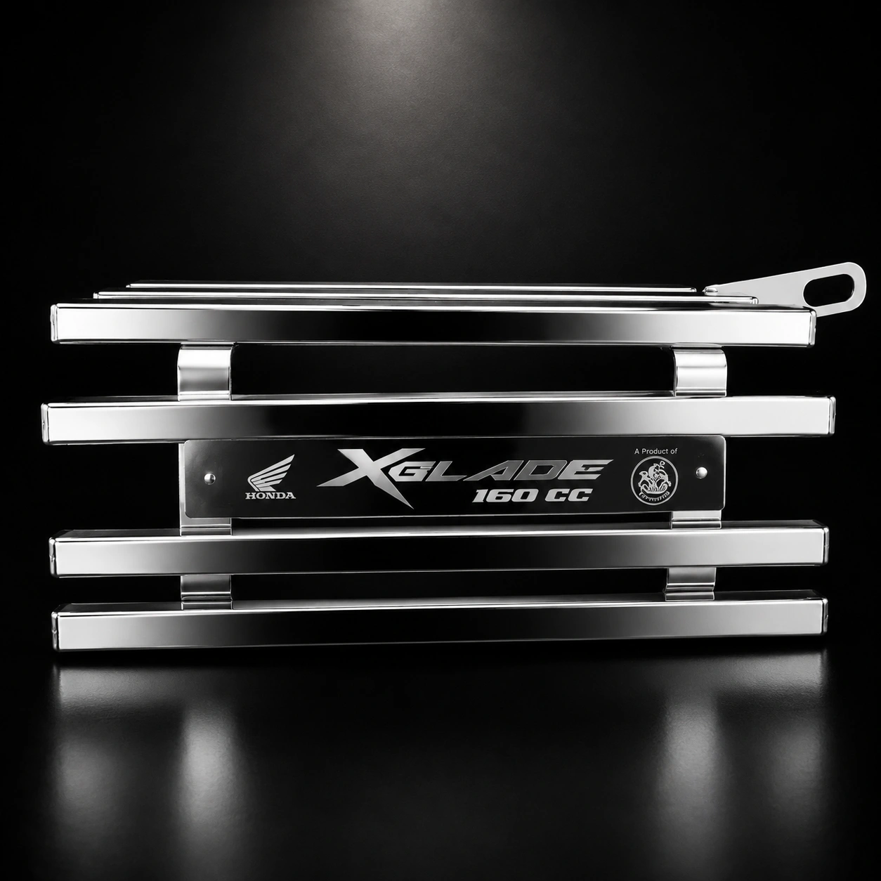 X-Blade-Honda-সাইলেন্সার-Box-খাঁচা-SS